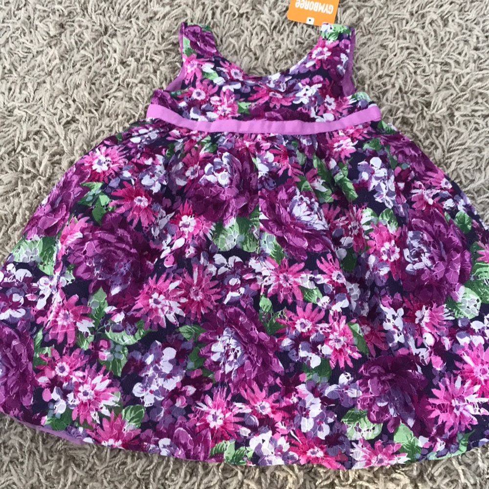 Gymboree dress size 2t